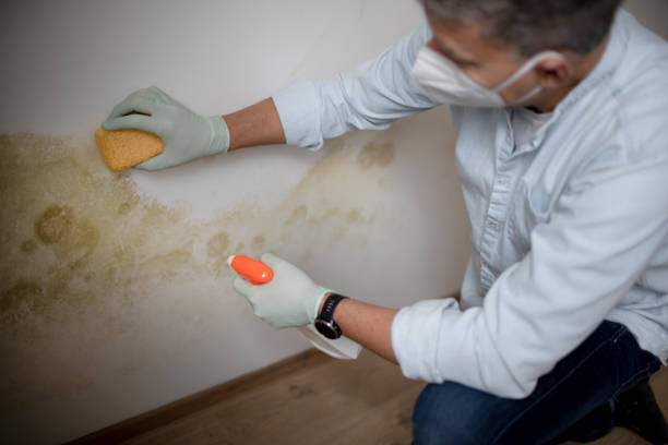 Water Damage Restoration in Palmyra, IN